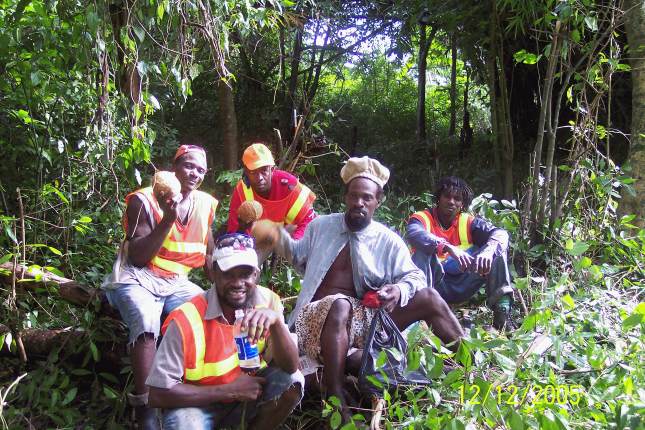 LandCAD i Jamaicas regnskov